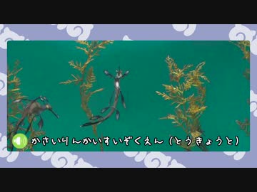 【剣盾】水族館パでワイワイバトル：14【シングルカジュアル】