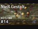 【NieR Gestalt】こんにちは狂気【part14】