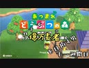 【あつまれどうぶつの森】カブで億万長者を目指す男＃十一週間目