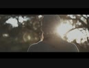 君の脈で踊りたかった/ピコン【covered by lev】