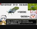 きみょんなSCP紹介　part21