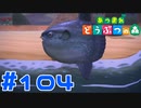 【実況】うーっ、マンボーウ！！ #104【あつまれどうぶつの森】