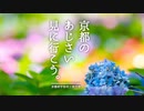 京都のあじさい見に行こう。