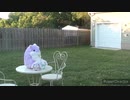 【リリ】ブルベーリトレーン踊ってみた