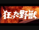 Gunma Fantasy #11(Last)