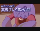 探し人を求めてwitcher3実況プレイ第253回