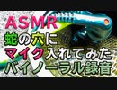 蛇の穴にマイク入れてみた