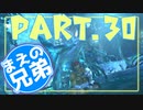 【FF10】まえの兄はエンディングが見たいそうです。＃30【兄弟実況】