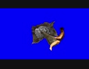 【Bloodborne】灰先輩BB