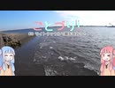 【VOICEROIDフィッシング】ことづり！ #8_ライトタックルで鱚を狙おう！