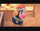 【あつ森】時間を変更せずに自由に遊ぶ２０【ドリルカラマリ】