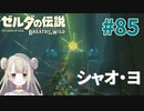 #85【ゼルダの伝説ブレスオブザワイルド】シャオ・ヨ【女性実況】