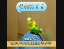 【身内ネタ】トピア300人記念 その2