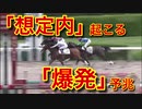 【５】競馬で勝つためにスポーツ紙の「数値」を分析し、データ化。利益を出すことにこだわり、検証します。
