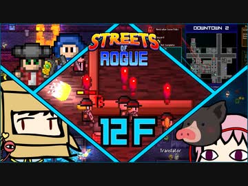 【Streets of Rogue】暗黒非合法ホワイトハッカーネズミ活動 12F
