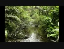 YUNQUE STORE BEST MOMENTS AND EXPLORATIONS 2013-2019 - SET#101
