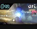 ＃12【実況】〇兎が灯す「オリとくらやみの森」【PC】