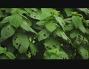 今村格
