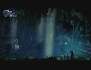 のんびりHollow Knight part8