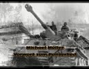 Michael Muller - Panzer - Division W