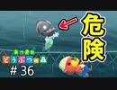 【あつ森＃36】海開き！そのヘルメットでは沈むぞ…!?