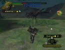 【MHF】おまけ、メラルー退治