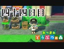 【実況】推しの尊さと海開き【あつまれ どうぶつの森】四十四日目