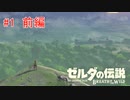 【ゼルダの伝説botw＃1】目覚めたら、パンイチでした 前編【はるの積みゲー崩し】
