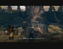 ダークソウルリマスターLv1縛りプレイ2週目。（ウーラシール市街）#031