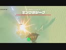 依頼を受けて、ガーディアン　ＶＳ　キングラジーク　をしてみた