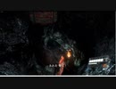 【２人実況】バイオハザード6を今更ながら初見プレイ【Part8】