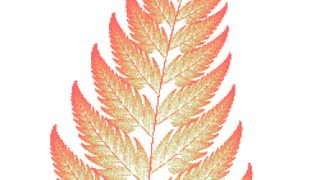 ホモとみるシダ植物の葉っぱ