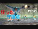 【FF9実況】狂った守護竜【Part14】
