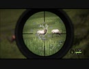 theHunter_ Call of the Wild 　#02-3  ～シルバーリッジピークス北西部　エルクは絡みづらい～