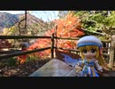 ROプレイヤーがゆる登山とデイキャンプした
