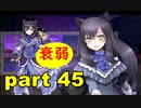 【実況】 素晴らしき世界観を求め、紫影のソナーニル【part45】