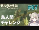 #87【ゼルダの伝説ブレスオブザワイルド】鳥人間チャレンジ【女性実況】