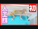 【産まれて初めて！】レオパのベビーちゃんに産まれて初めて人工餌をあげてみた！！
