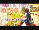 有明ガーデン ストリートピアノ【点描の唄/井上苑子 Mrs. GREEN APPLE】弾いてみた♪