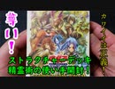 ★遊戯王★まったり開封。ストラクチャーデッキ【精霊術の使い手】