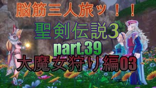 脳筋３人旅でトライやるッ！！聖剣伝説３トライアルズオブマナ【もちぶた実況】39大魔女狩り編03