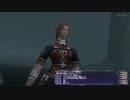 【FF11】冒険の記録～その女、性悪につき