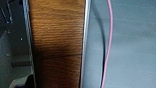 おばかわいい映像内容ぶっつけ持論