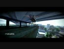 [ea skate.]キャプボ無しでPV風動画を作るための実験動画[超絶音ズレ]