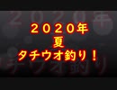 【魚釣り】２０２０夏　タチウオ編！　✿´◕‿◕｀✿