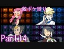 ポケモンYはフレア団縛りでやっていくPart14