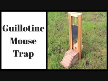 ホモと見るネズミトラップ.guillotine