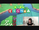 【あつ森】アップデート初日に島初公開！【ラコスケと心を通わす】#1 2