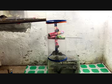 ホモと学ぶネズミトラップ.fall