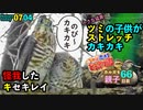 0704【猛禽類ツミの子供のストレッチ】新たなカルガモ親子引っ越し、怪我した野鳥キセキレイ【今日撮り野鳥動画まとめ】身近な生き物語